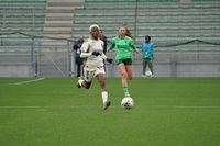 2026-03-28_17-16-14-D5C09832.JPG